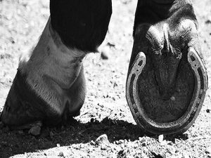 THE RIGHT SHOES