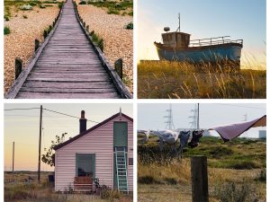 DUNGENESS COLLAGE