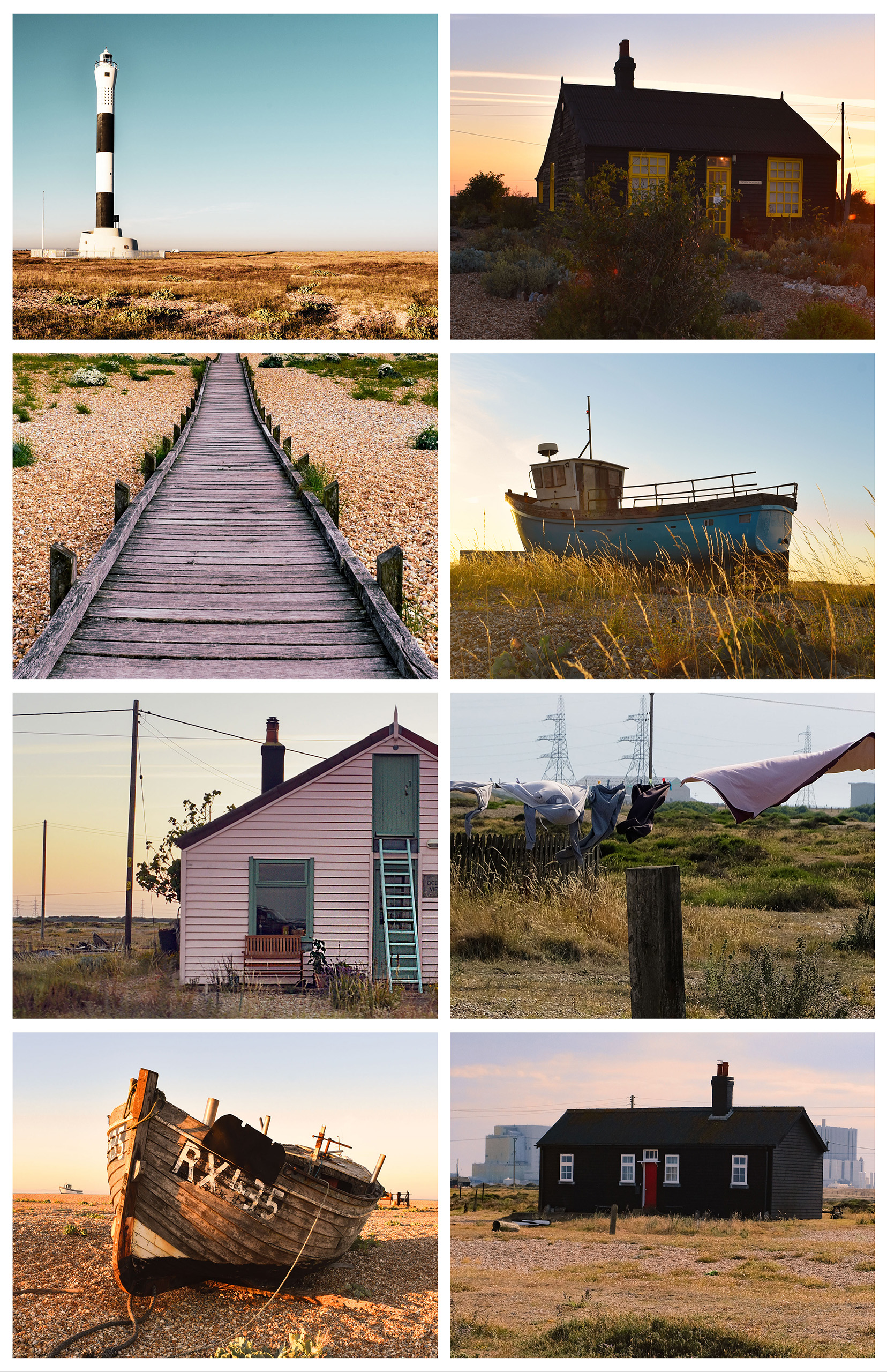 DUNGENESS COLLAGE