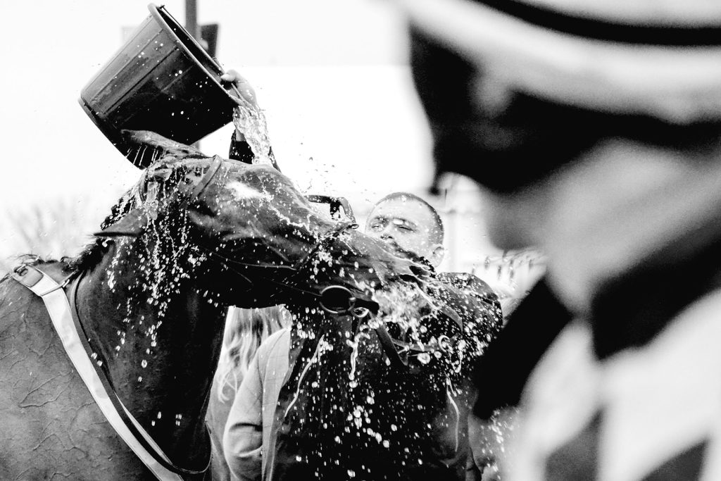 Stable staff cooling down a racehorse with water after a race at Cheltenham Racecourse.