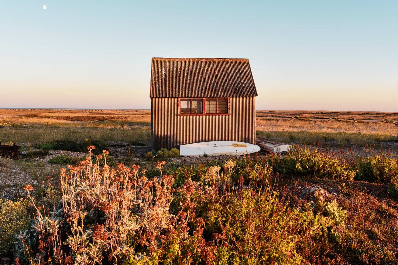Rustic corrugated metal shack in a wild coastal landscape at sunset in Dungeness, UK.